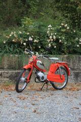 Zündapp Mofa 25 Typ 434 021 Bergsteiger zu verk. - ZÜNDAPP MOFA