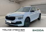 Skoda Kamiq Tour AKTION ACC Virtual LED LM PDC - Skoda: Aktion
