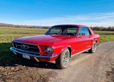 Ford Mustang - Bj 1967 - sucht neuen liebe... - Ford Mustang: Limousine