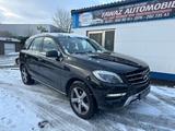Mercedes-Benz ML 350 CDI *KAM**Bi-Xenon*AHK*SD*On&Offroad-Pake - Mercedes-Benz ML 350 in Hagen