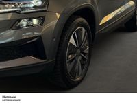 Skoda Karoq - Vorschau Bild 9