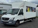 Mercedes-Benz Sprinter 513 CDI Koffer/Verzinkt/Palfinger/TÜV - Mercedes-Benz Sprinter 513 cdi