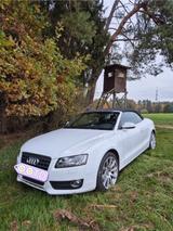 Audi A5 2.0 TFSI 132kW multitronic Cabriolet - - Audi: Multitronic