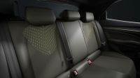 Cupra Andere - Vorschau Bild 10