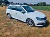 Skoda skoda kombi tüv neu und 41000km 2 Hand  - : Navigationssystem, 410