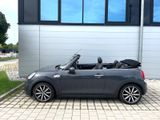 MINI Cooper S Cabrio  Autom Leder/Navi/LED/PDC - MINI Cooper S Cabrio aus 2016