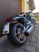 Harley-Davidson V-ROD ,, Sondermodell ´´ Muscle - HARLEY-DAVIDSON ROD