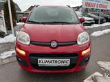 Fiat Panda Lounge 1.Hd. Scheckheftg. Klima /WR+SR Alu - Fiat Panda Gebrauchtwagen in München