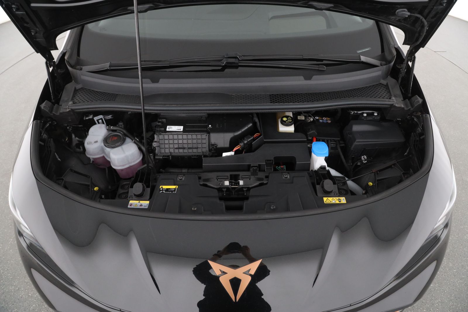 Cupra Born - Bild 9