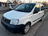 Fiat Panda 1.1 8V Active*TÜV NEU*1. HAND* - Fiat Panda Gebrauchtwagen in Braunschweig
