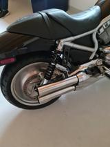 Harley-Davidson VRSCR Street Rod - Offers matching your search criteria