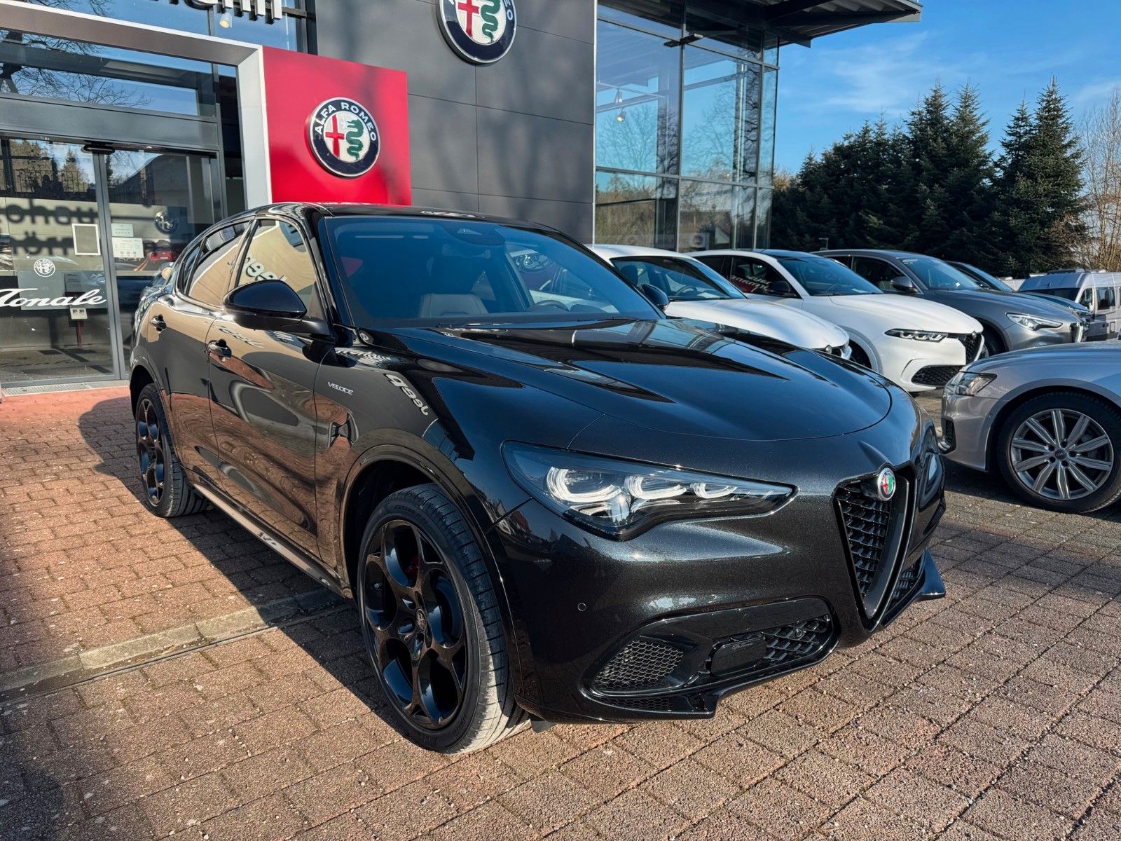 Fahrzeugabbildung Alfa Romeo Stelvio VELOCE 280 PS Glasdach Memory AHK elektr