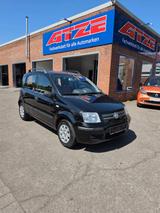 Fiat Panda mit Klima, Allwetter, TÜV neu, Scheckheft - Gebrauchtwagen bis 3.500 Euro mit TÜV