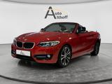 BMW 220i Cabrio BI-XENON LEDER PDC BT NAV SHZ TEMP - BMW Gebrauchtwagen in Ludwigsburg