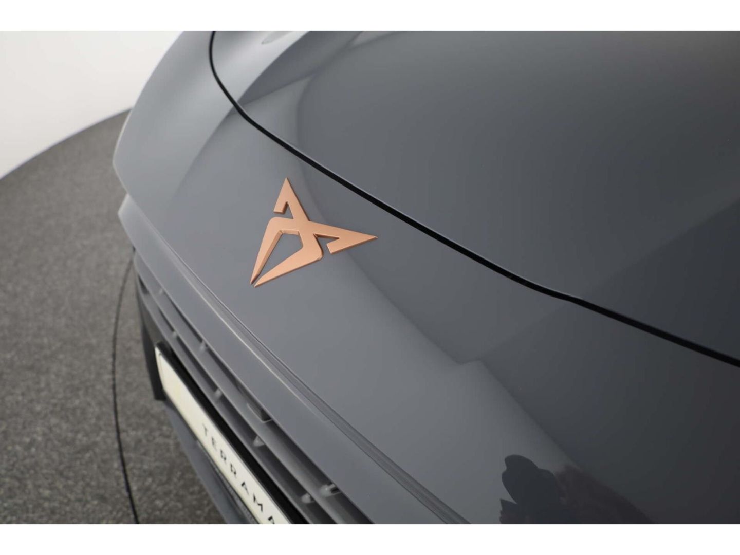 Cupra Terramar - Bild 22