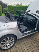 Mercedes-Benz SLK 200 KOMPRESSOR - - Mercedes-Benz SLK-Class aus 2004