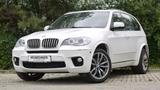 BMW X5 Baureihe X5 xDrive30d  M Sport Paket Edition - BMW X5: Xdrive30d M Sport