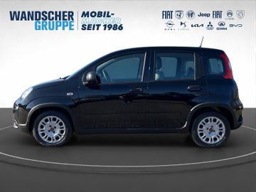 Fiat Panda Hybrid 1.0 GSE Klma+DAB+Isofix+Allwetter