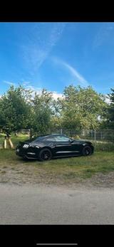 Ford EU Mustang Ecoboost 2.3 Automatik - Komple... - Ford Mustang Gebrauchtwagen in Frankfurt
