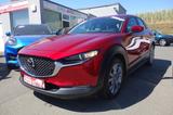 Mazda CX-30 2.0 SKYACTIVE-G My Hy. 150 Selection - Mazda CX-30 mit Hybrid-Antrieb