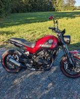 Benelli Leoncino 500 - BENELLI MOTORRAD