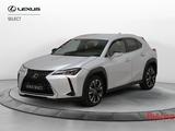 Lexus UX Hybrid Premium - Lexus UX aus 2019