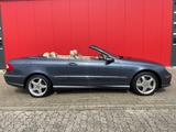 Mercedes-Benz CLK 500 Cabrio AMG, org.79.500 km - Mercedes-Benz: Cabrio, Clk AMG