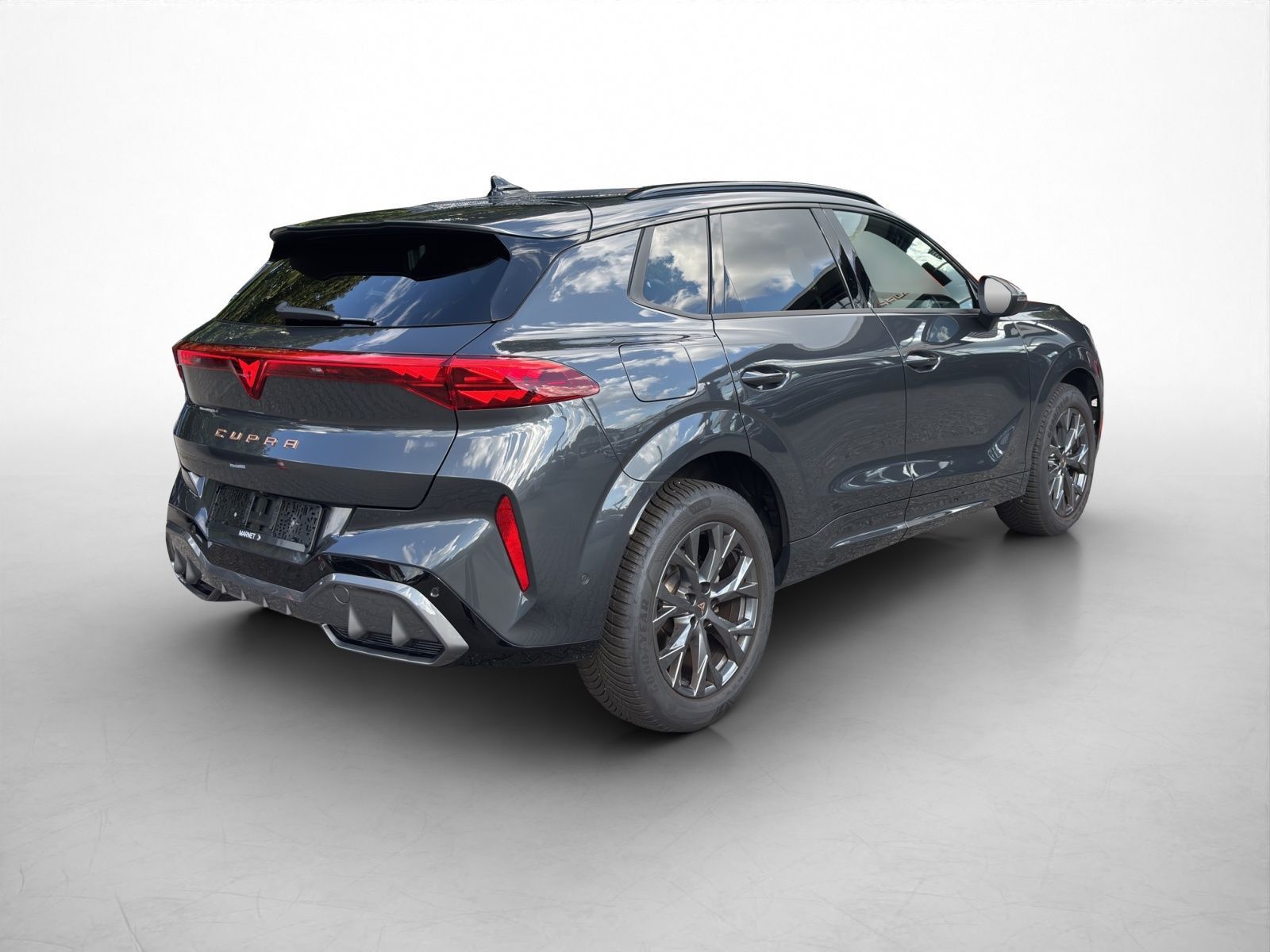Cupra Terramar 2.0 TSI 4Drive Navi Matrix Kamera El.H foto 4