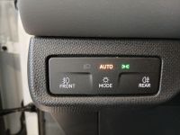 Cupra Terramar - Vorschau Bild 15