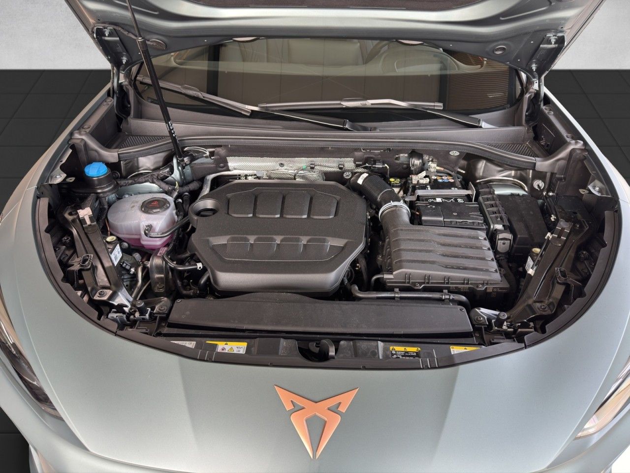 Fahrzeugabbildung CUPRA Terramar DSG 4Drive Americas Cup Edition