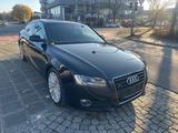 Audi A5 Sportback 3.0 TDI Quattro*Xenon*S-Line* - Audi A5 aus 2010: Line