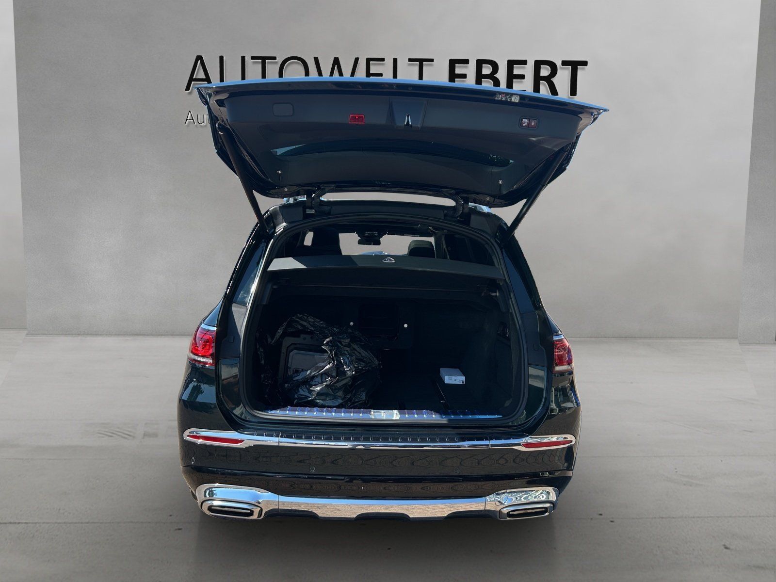 Fahrzeugabbildung Mercedes-Benz Mercedes-Benz GLS 600 Maybach VOLL! First Class