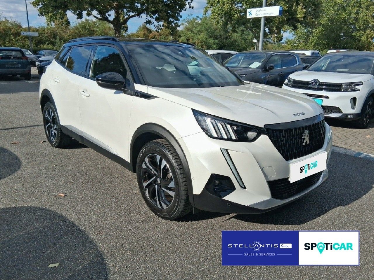 Peugeot 2008 GT 130 EAT8 SHZ*NAVI*ACC imagem 3