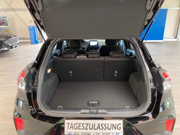 Fahrzeugabbildung Ford Puma ST-Line Kamera Winterpaket...