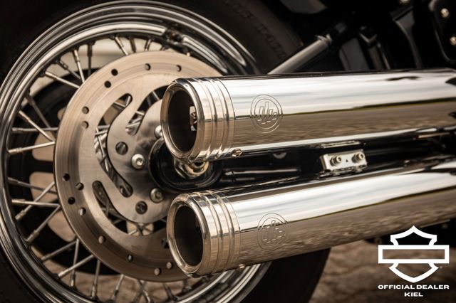 Fahrzeugabbildung Harley-Davidson SOFTAIL STANDARD FXST - KESSTECH & GARANTIE