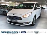 Ford Galaxy Titanium 7-Sitzer DAB NAVI CAM WinterPak. - weiße Ford Galaxy