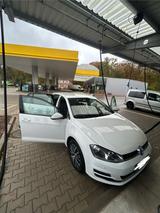 Volkswagen Golf 1.6 TDI in weiß! TÜV/AU neu!  - Volkswagen Golf: Weis