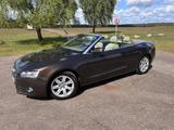 Audi A5 2.0 TDI Cabrio in traumhafter Farbkombi