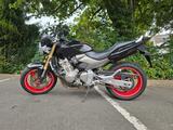Honda CB600F Hornet (2004) - HONDA 2007 HORNET 600