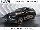 Skoda Scala 1.0TSI DSG Tour ACC NAVI MATRIX KAMERA PDC - Skoda Gebrauchtwagen in Potsdam