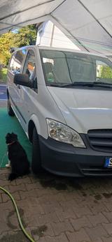 Mercedes-Benz Vito Mixto lang, LKW-Zulassung - Mercedes-Benz Vito mit Diesel-Antrieb: Kleinbus, Mixto Lkw Zulassung