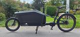Cube Cargo Dual Hybrid 1000 - E-Lastenräder