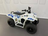 SMC Buzzy 50 - Quads bis 2.000 Euro