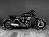 Harley-Davidson FXDR M8 Softail, Vivid Black, Rhön Custom Umbau - HARLEY-DAVIDSON CUSTOM UMBAU
