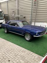Ford Mustang - Ford Mustang in Chemnitz