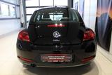 Volkswagen Beetle Design BMT Klima Einparkhilfe - gebrauchte VW Beetle aus dem Jahr 2018
