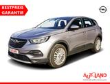 Opel Grandland 1.2 Innovation LED AHK PDC Totwinkel - Opel Grandland (X) aus 2023