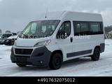 Fiat Ducato 33 150 L2H2 9 Sitze Klima Stdhzg Rampe - gebrauchte Fiat Ducato aus dem Jahr 2016