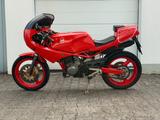 Gilera Saturno Bialbero 500 - GILERA 50