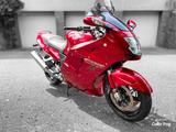 Honda CBR 1100 XX SC35 Super Blackbird - HONDA CBR1100XX BLACKBIRD